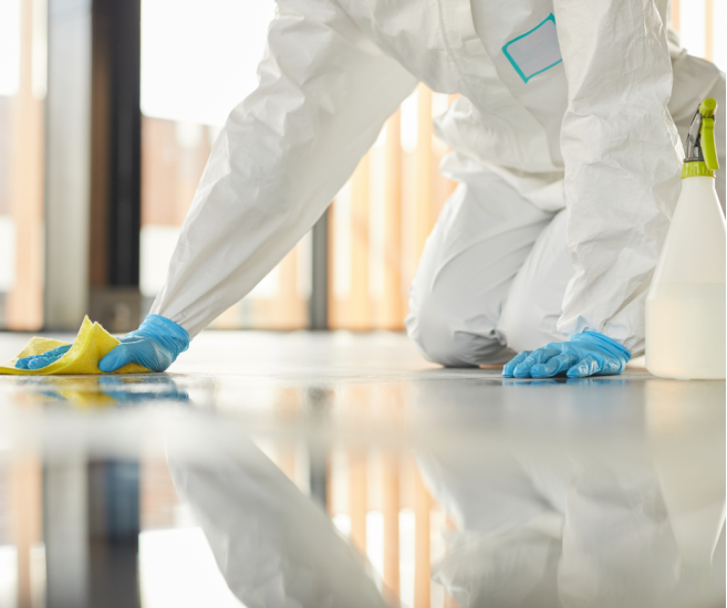 Por que contratar serviços especializados de limpeza?